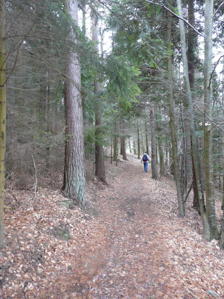 Burdignes, 08-03-09, 12-12.jpg